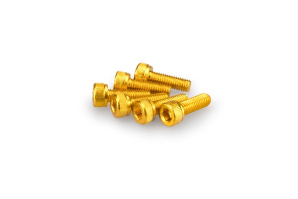 Puig KIT SCREWS ALLEN M5X15MM. C/GOLD