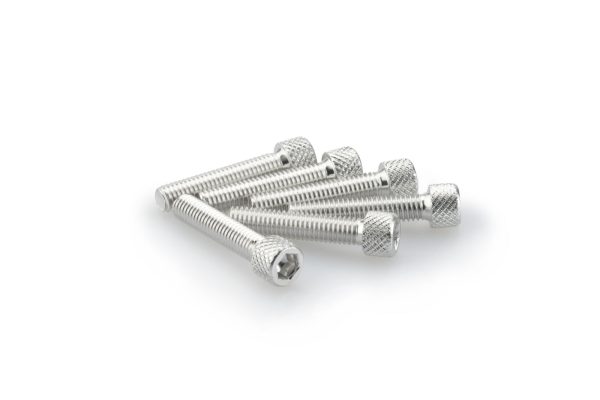 Puig KIT SCREWS ALLEN M6X30MM. C/SILVER