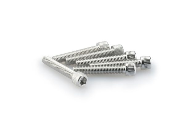 Puig KIT SCREWS ALLEN M6X35MM. C/SILVER