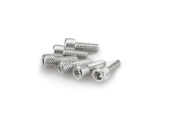 Puig KIT SCREWS ALLEN M6X15MM. C/SILVER