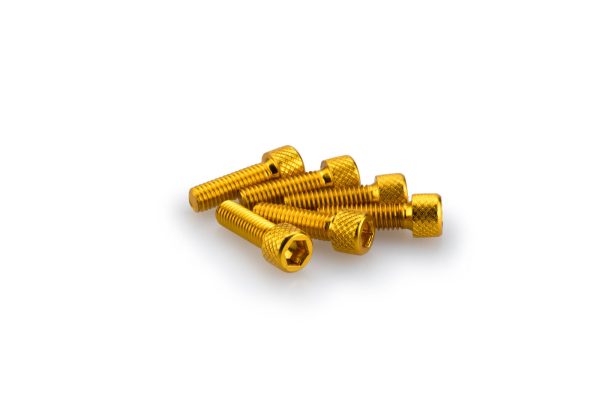 Puig KIT SCREWS ALLEN M6X20MM. C/GOLD