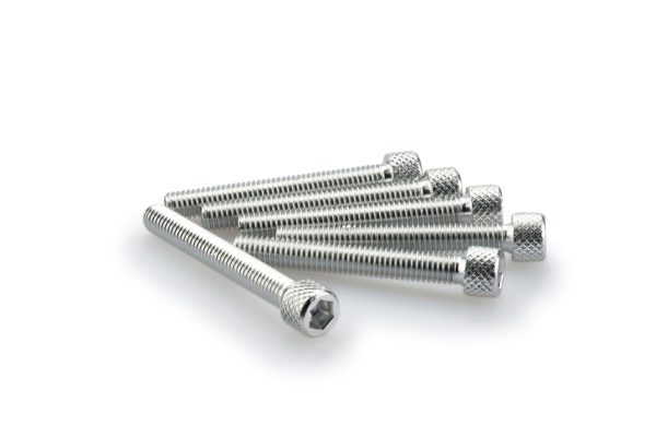 Puig KIT SCREWS ALLEN M6X45MM. C/SILVER