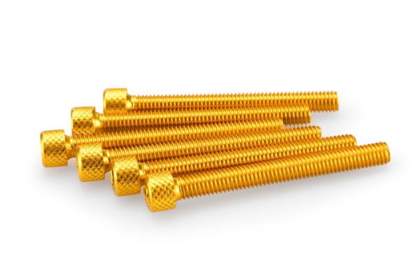 Puig KIT SCREWS ALLEN M6X55MM. C/GOLD