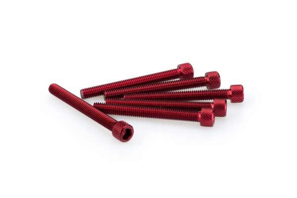 Puig KIT SCREWS ALLEN M6X55MM. C/RED