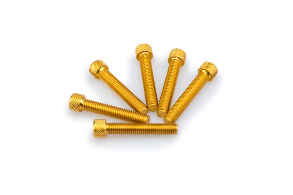 Puig KIT SCREWS ALLEN M8X45MM. C/GOLD