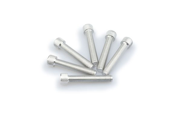 Puig KIT SCREWS ALLEN M8X45MM. C/SILVER