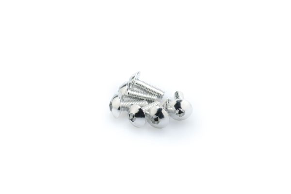 Puig KIT SCREWS DOMED M5X15MM. C/SILVER