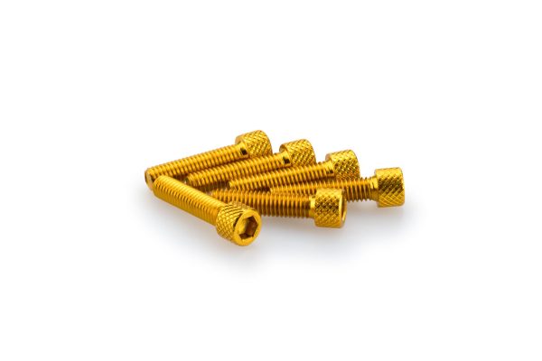 Puig KIT SCREWS ALLEN M6X25MM. C/GOLD