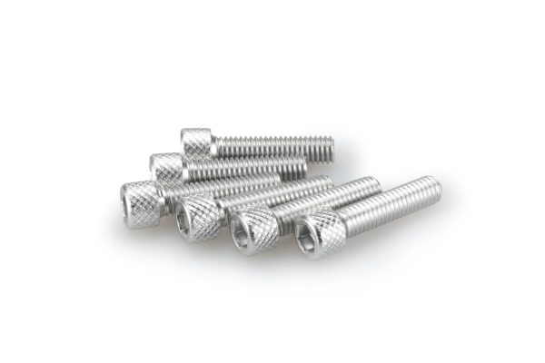 Puig KIT SCREWS ALLEN M6X25MM. C/SILVER