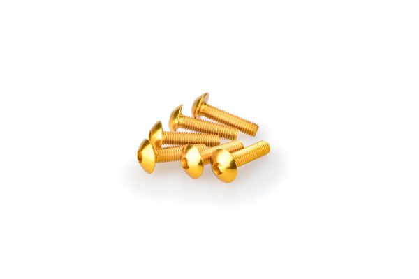 Puig KIT SCREWS DOMED M5X20MM. C/GOLD