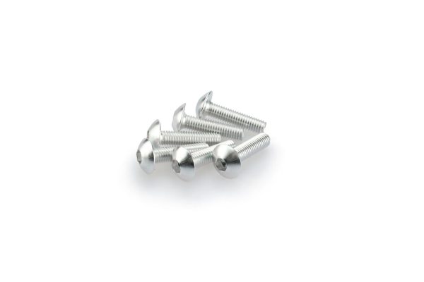 Puig KIT SCREWS DOMED M5X20MM. C/SILVER