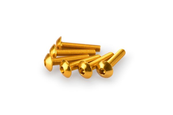 Puig KIT SCREWS DOMED M5X25MM. C/GOLD