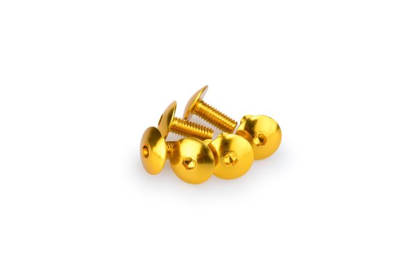 Puig KIT SCREWS DOMED M6X15MM. C/GOLD