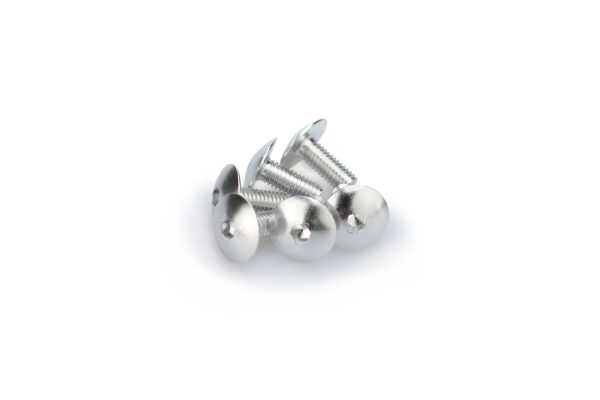 Puig KIT SCREWS DOMED M6X15MM. C/SILVER