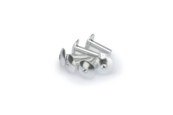 Puig KIT SCREWS DOMED M6X20MM. C/SILVER