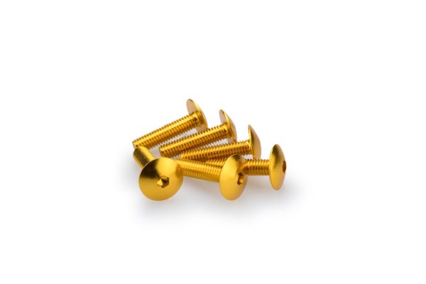 Puig KIT SCREWS DOMED M6X25MM. C/GOLD