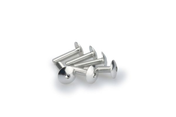 Puig KIT SCREWS DOMED M6X25MM. C/SILVER