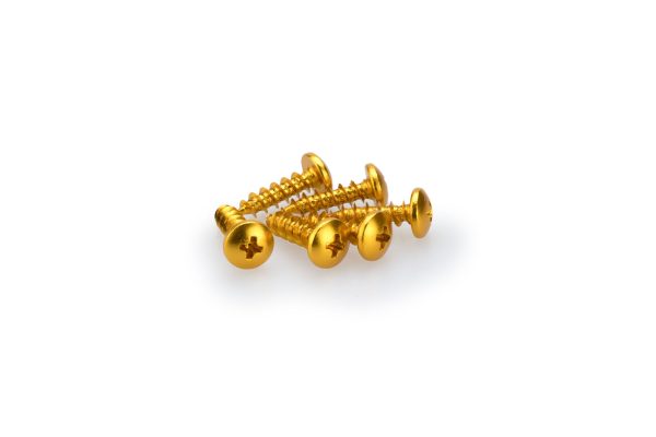 Puig KIT SCREWS DOMED M6X20MM. C/GOLD