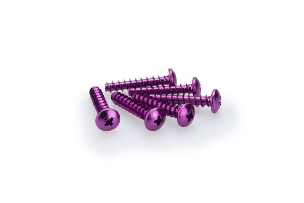 Puig KIT SCREWS DOMED M6X30MM. C/PURPLE