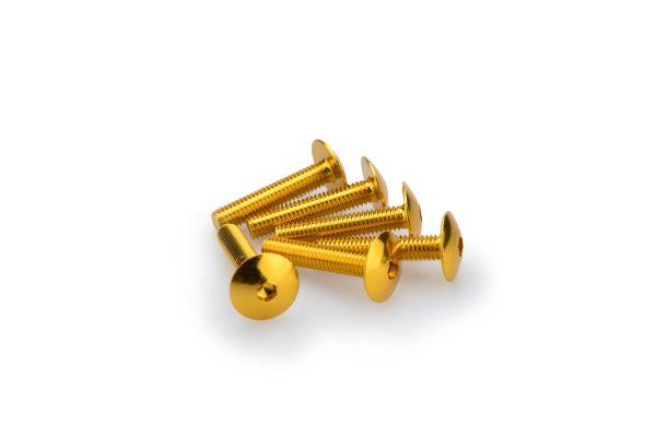 Puig KIT SCREWS DOMED M6X30 C/GOLD