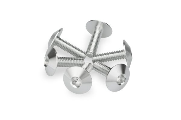 Puig KIT 6 SCREWS M6X20 DIAM. HEAD 16,8MM C/SILVER