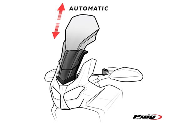 Puig ELECTRONIC REGULATION SYSTEM ERS TRIUMPH TIGER