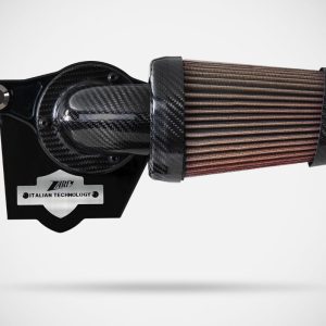 Zard 120TH L.E._ CARBON AIR FILTER AND ALU BILLET For TOURING M8 21_23
