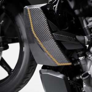 Zard 120TH L.E._CARBON COVER RADIATOR + ALU PLUG COVER For NIGHTSTER 975 23