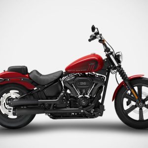 Zard POLISHED SS E4/E5 2>2 SLIP-ONS AVIO For SOFTAIL M8 16_23